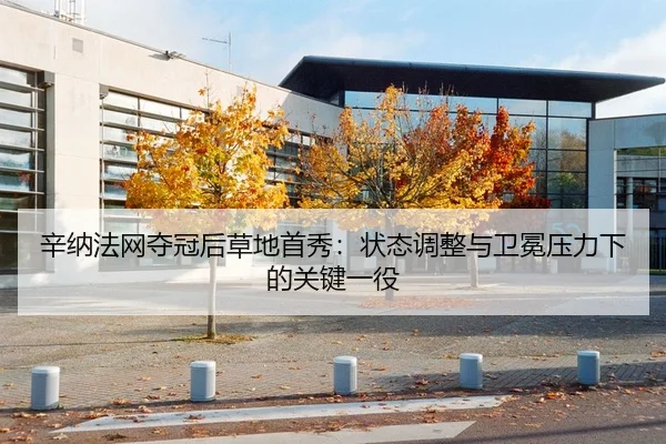 辛纳法网夺冠后草地首秀：状态调整与卫冕压力下的关键一役